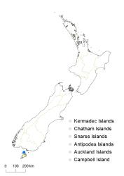 Cardamine megalantha distribution map based on databased records at AK, CHR, OTA & WELT.
 Image: K.Boardman © Landcare Research 2018 CC BY 4.0